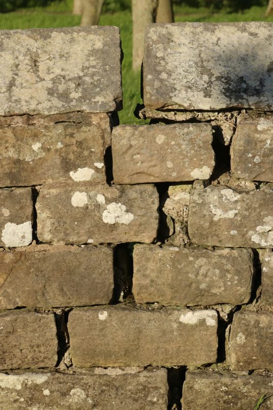 Stone Wall Repair in Hudsonville, MI